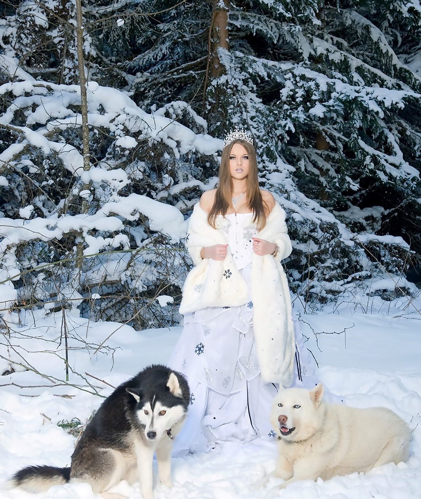 Астрологи зимой приходят в платьях белых