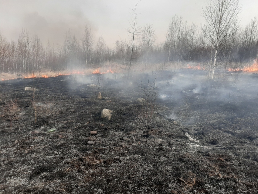 В лесах Забайкальского края с 16 апреля будет введён режим ЧС из-за лесных пожаров