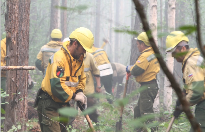 50 авиапожарных отправлены в Красноярский край для ликвидации лесных пожаров