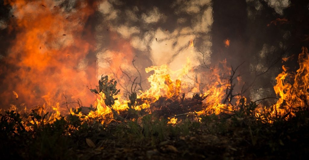 За сутки в России ликвидировано более 200 пожаров