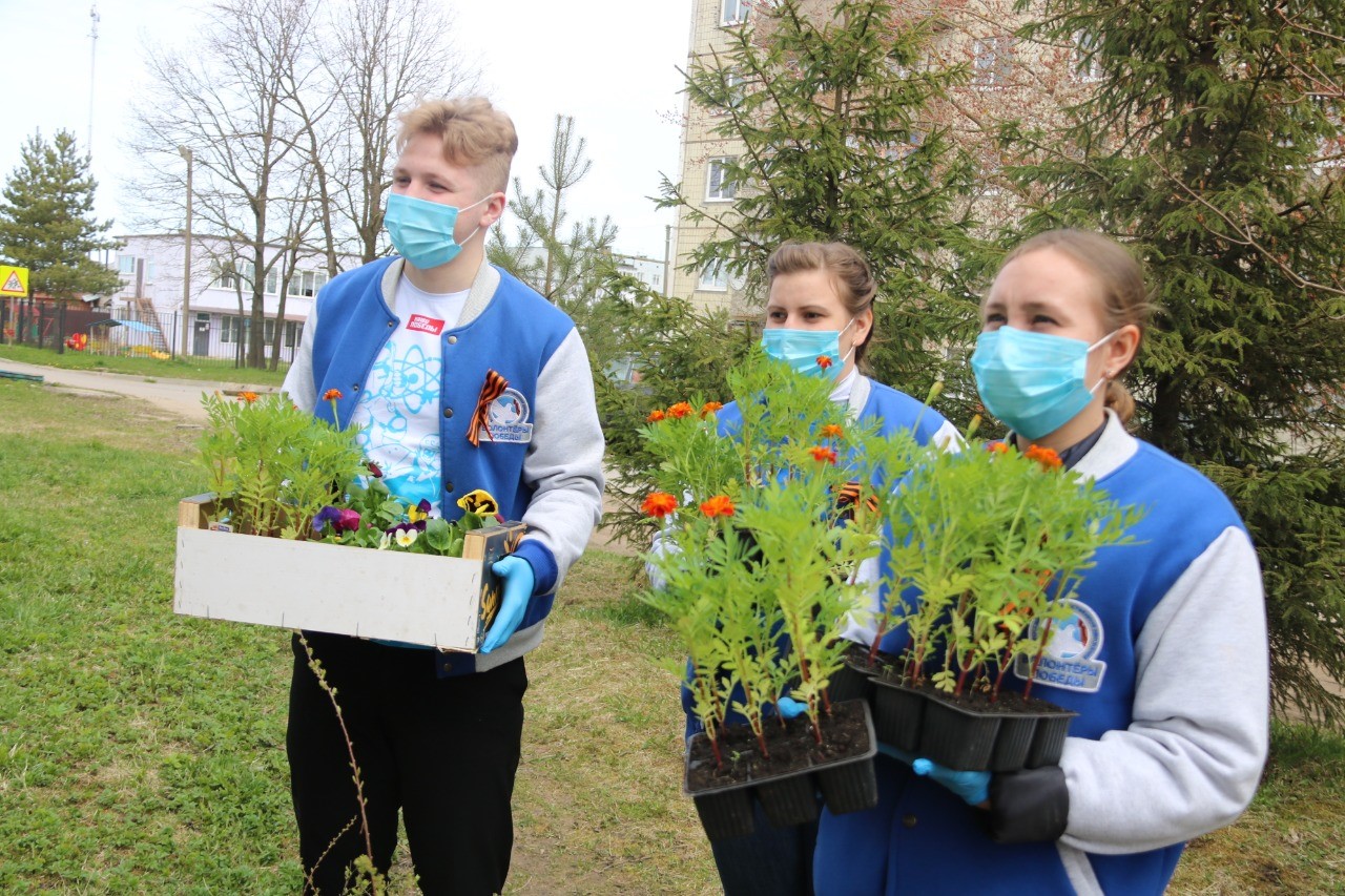 Под окнами ветеранов Ленинградской области высадили цветы