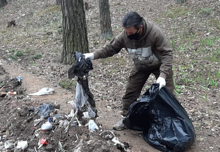 Ярославские леса очищены от отходов