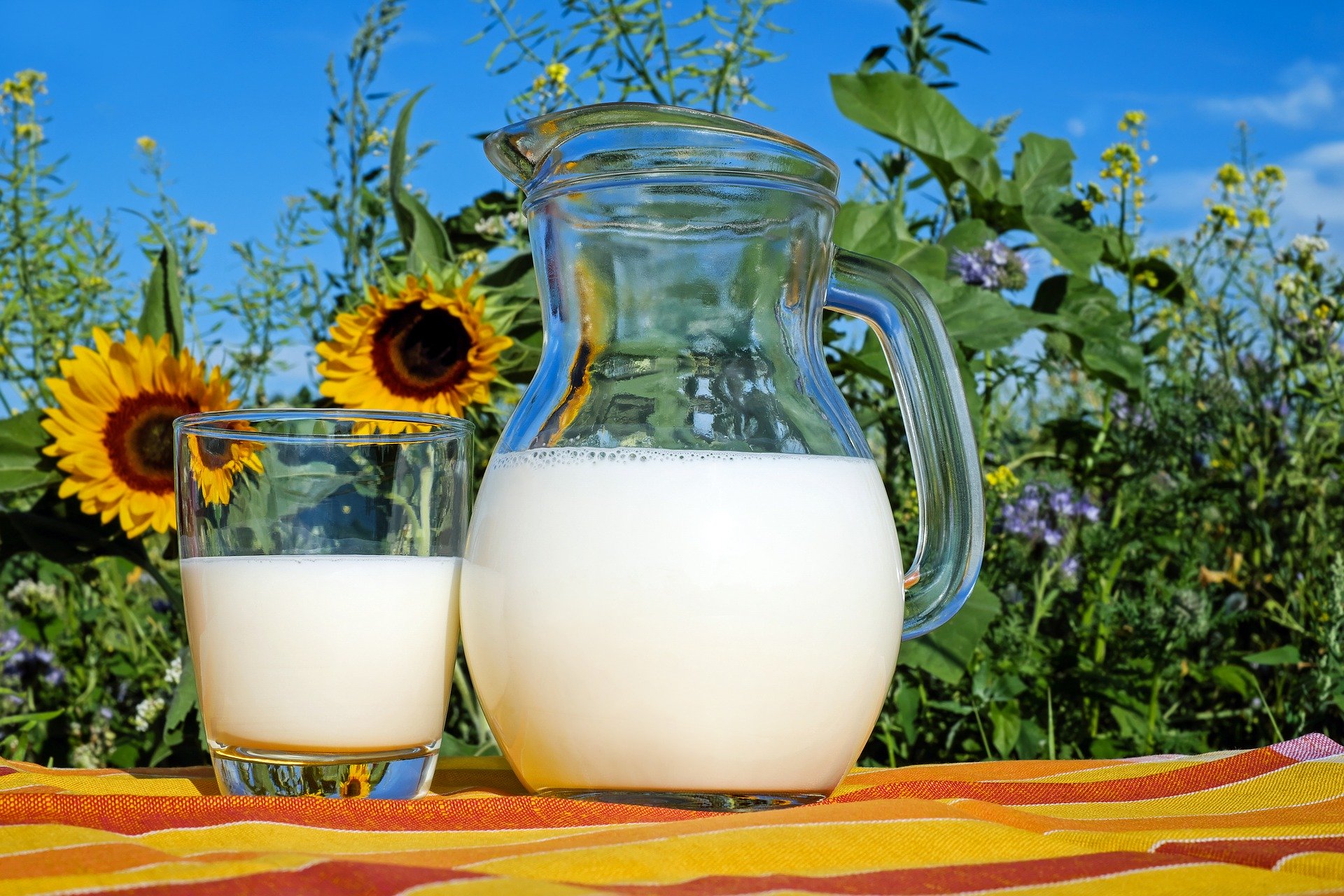 Объем реализации молока в России вырос на 7,1%