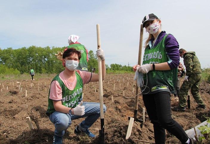 10 тыс. дубов высажено в Свердловской области