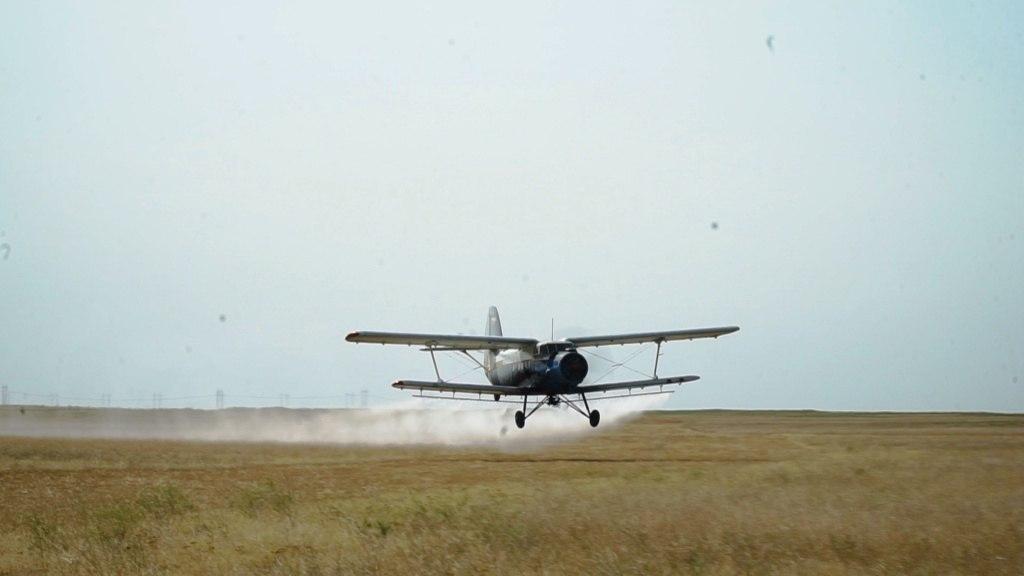 Химзащиту полей Дагестана проведут самолетами