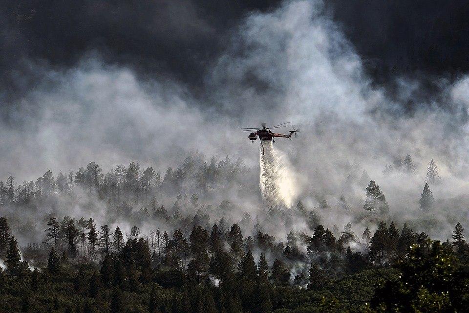 585 лесных пожаров ликвидировано на Урале