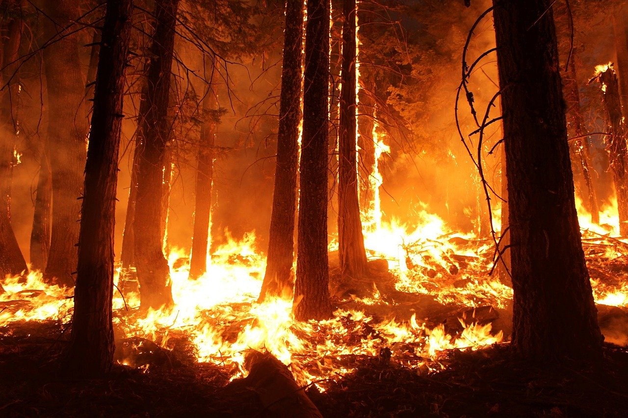 В Туве военнослужащие ЦВО завершили тушение природных пожаров