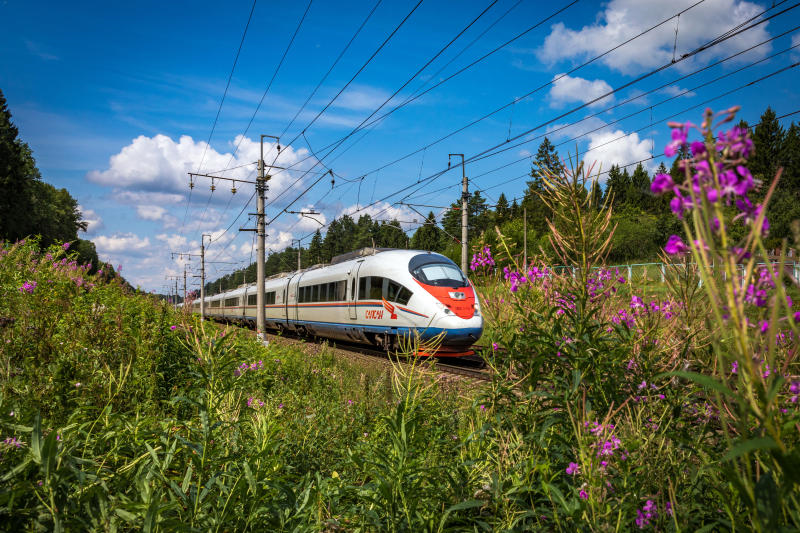 РЖД продлит временный график «Сапсанов» до 23 июня, но увеличит число поездов