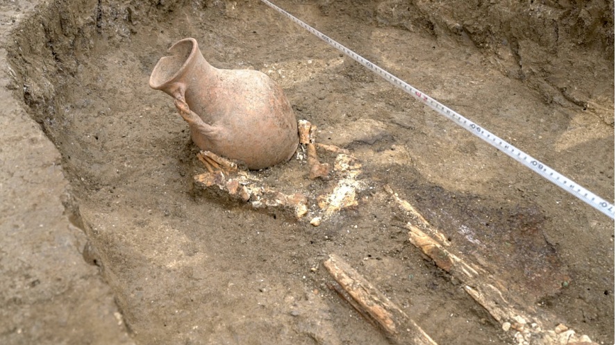 Могилу древнего сарматского воина обнаружили под Краснодаром