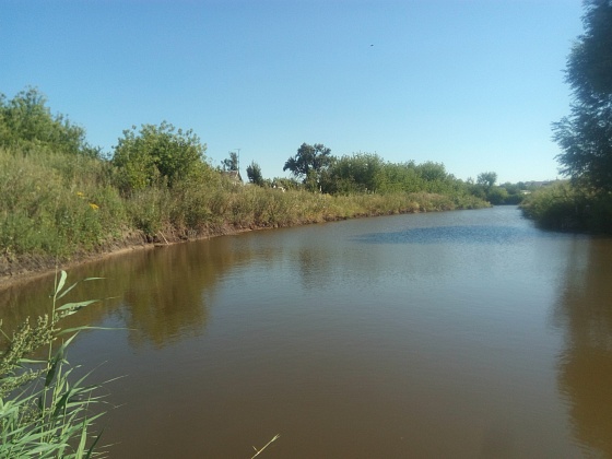 В Волгоградской области стартовала экологическая реабилитация реки Арчеда