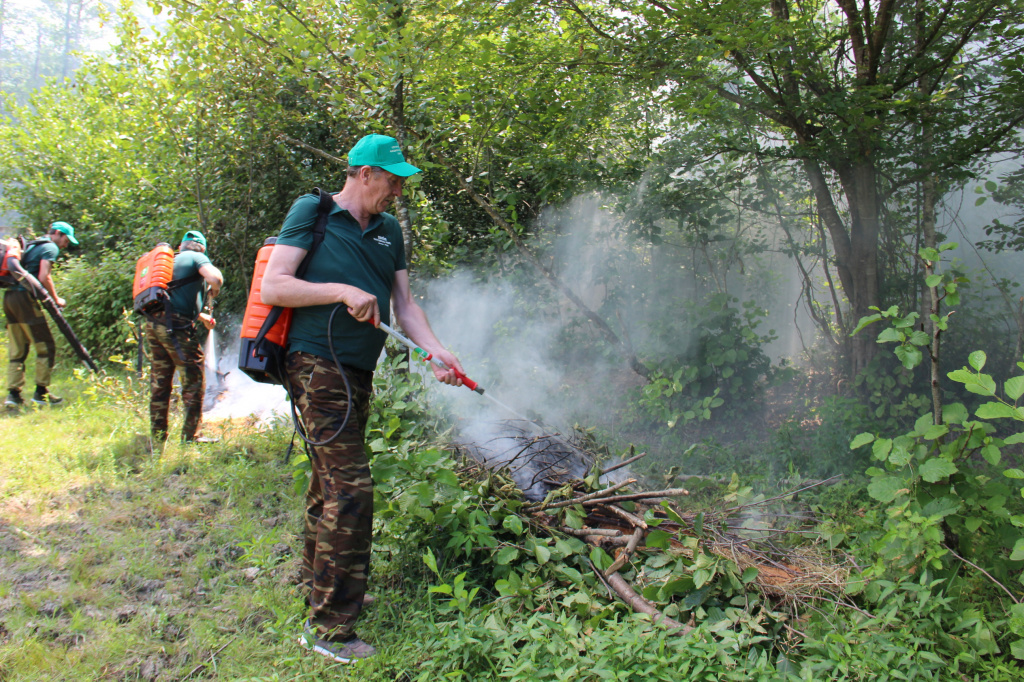 Комплексные учения по тушению лесных пожаров прошли на территории Сочинского национального парка