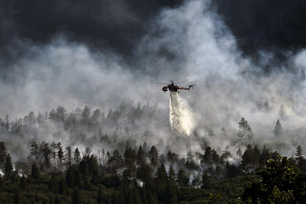 В России потушили около 40 лесных пожаров