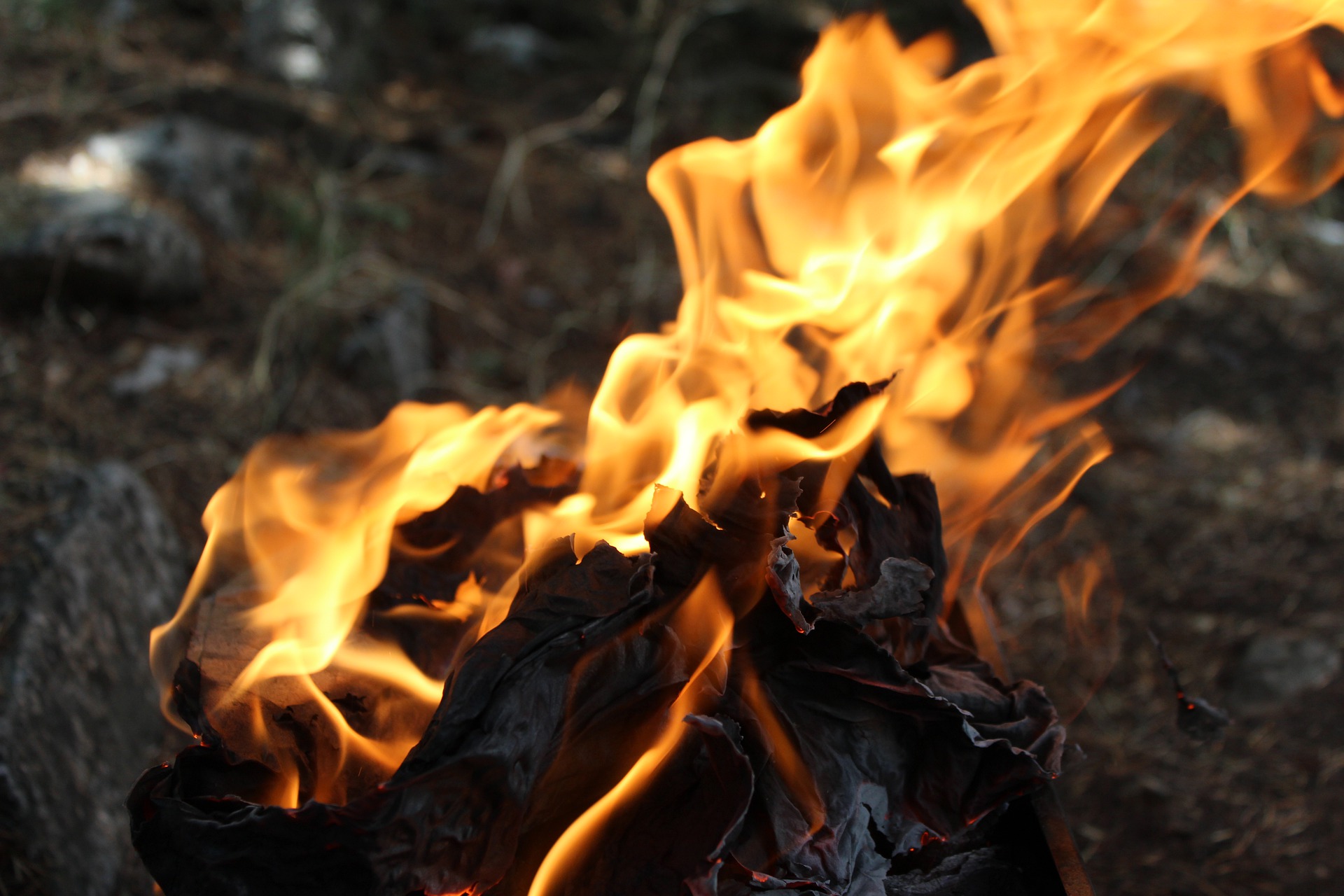 В России потушили ещё 60 лесных пожаров