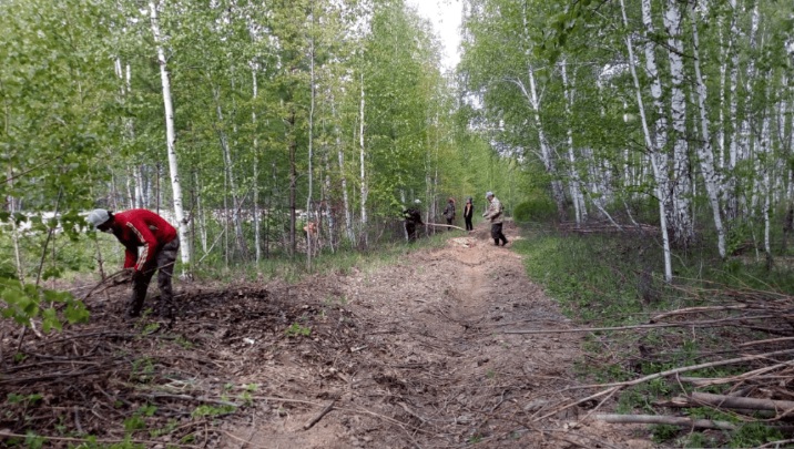 В Башкортостане ведётся очистка лесов