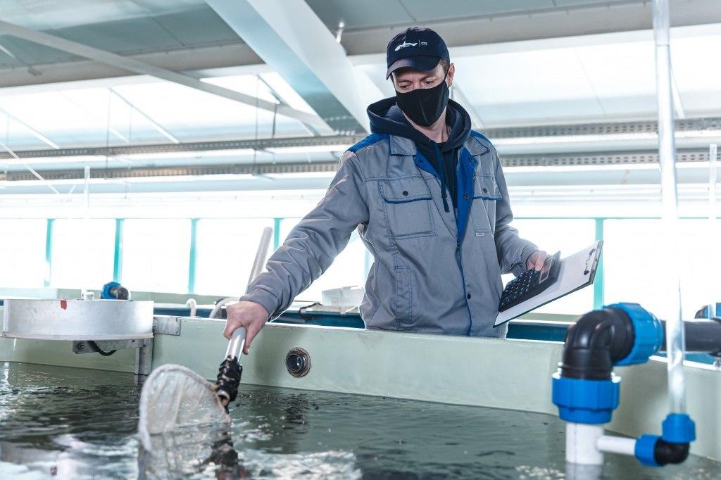 «Газпромнефть-Ямал» пополняет ценной промысловой рыбой реки Ямала