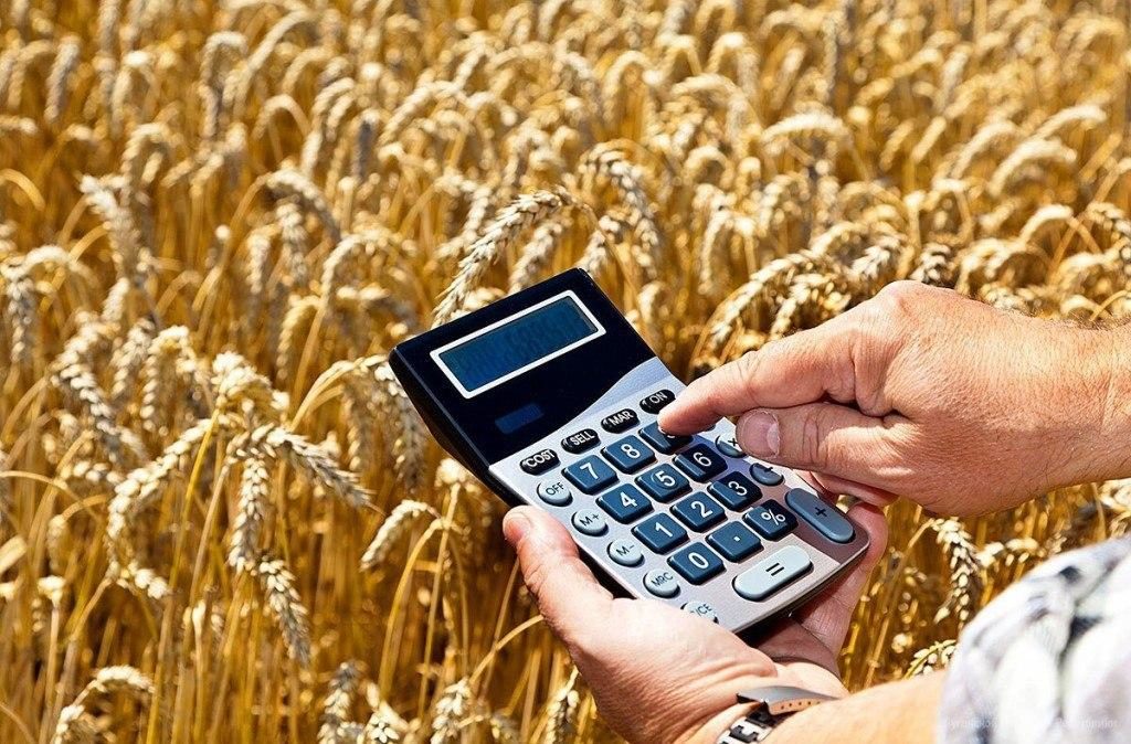 Свыше 810 млн рублей получат аграрии Рязанской области