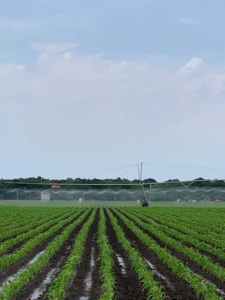 Сельхозпроизводство Кабардино-Балкарии увеличилось на 3,4%
