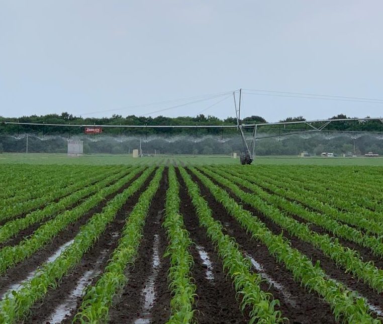 Сельхозпроизводство Кабардино-Балкарии увеличилось на 3,4%