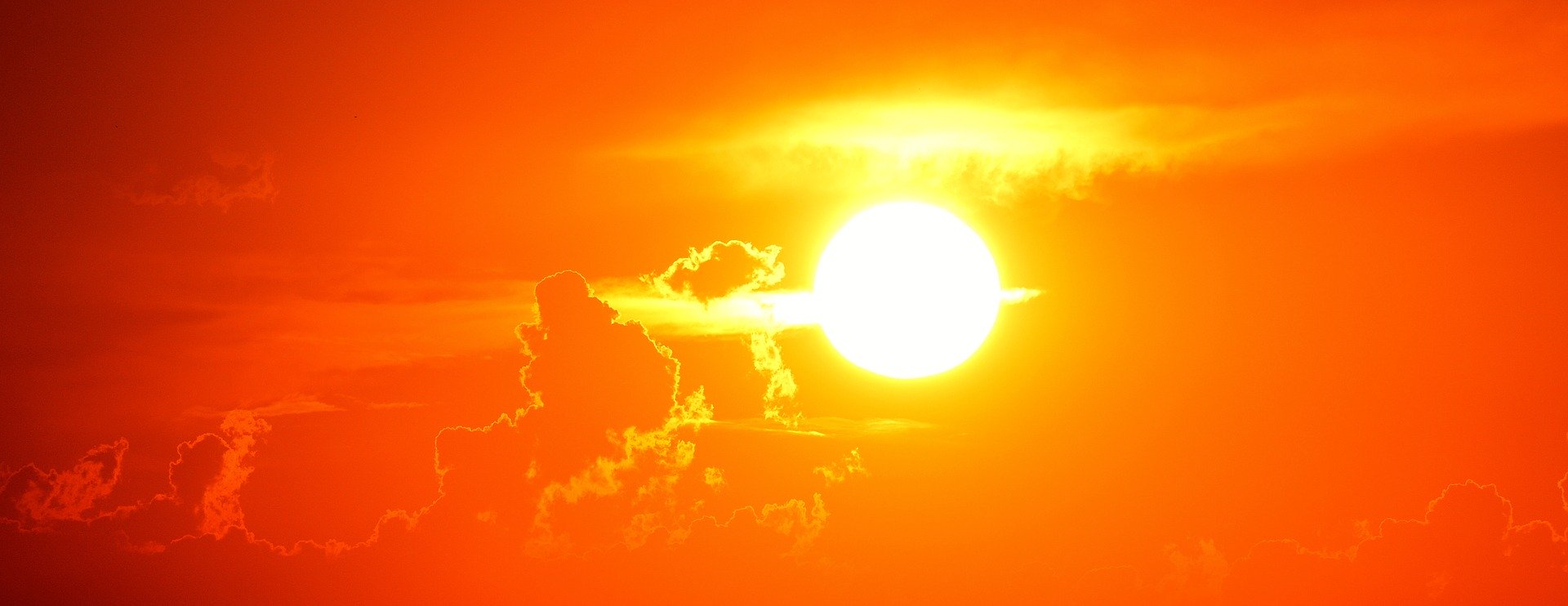 Синоптики предупредили о жаре в Ленобласти