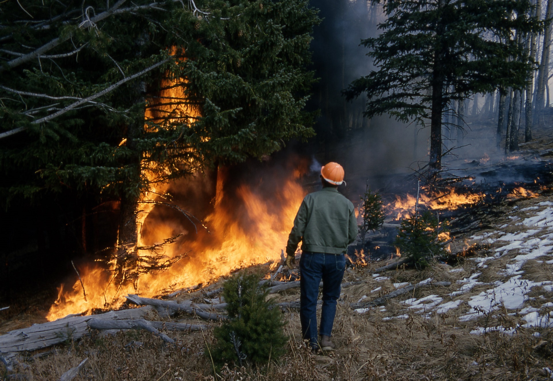В России потушили свыше 40 лесных пожаров
