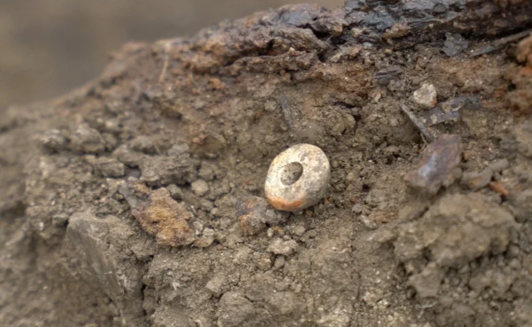 Дорожники обнаружили под Краснодаром захоронение эпохи бронзы