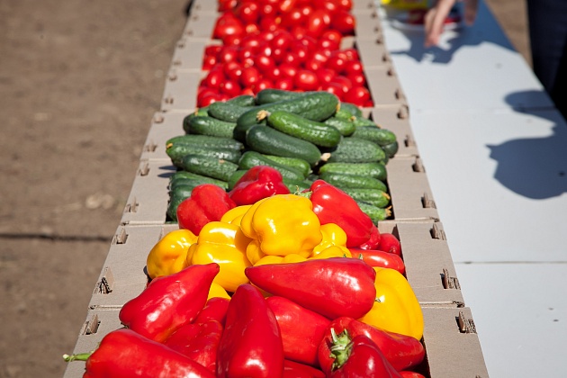 Более семи тысяч тонн овощей собрали в Волгоградской области