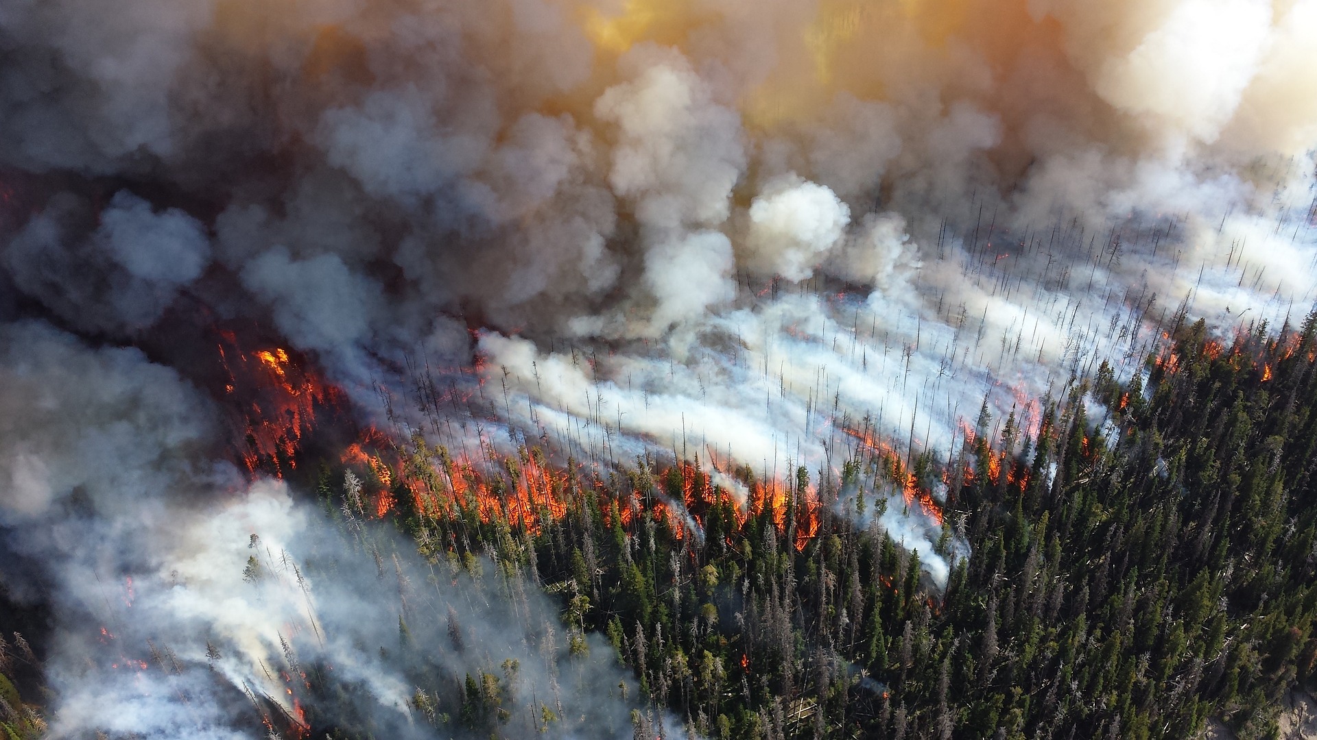 МЧС РФ продолжает тушение природных пожаров
