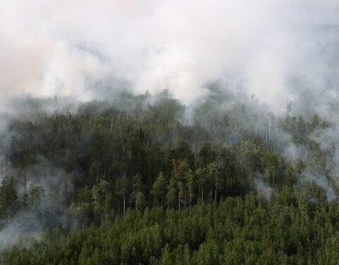 Спасатели Якутии в течении суток потушили 4 лесных пожара