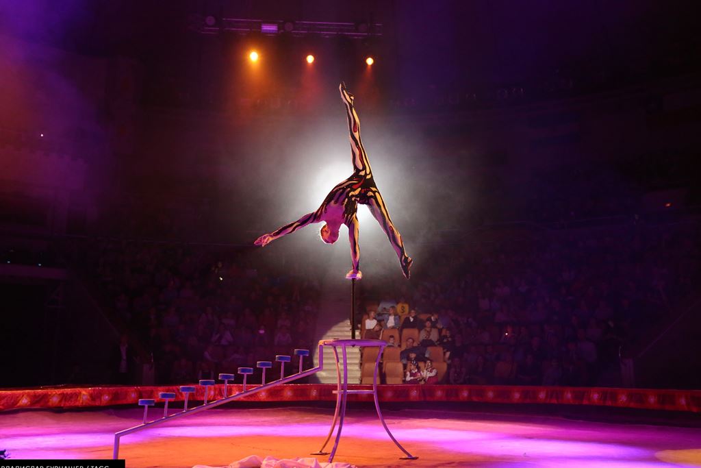 В новом сезоне первыми возобновят работу цирки в Сочи и Санкт-Петербурге