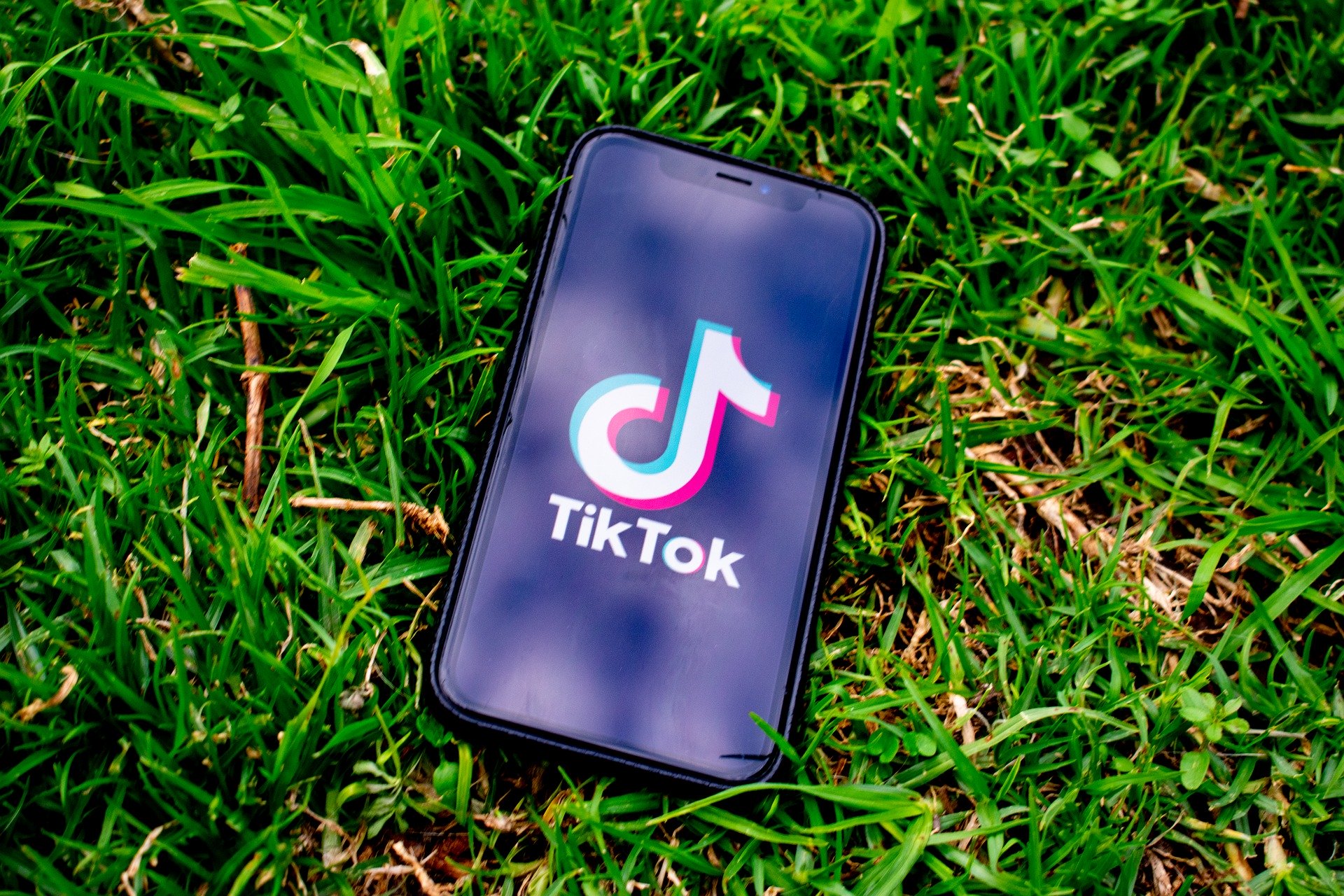 В TikTok отреагировали на слова Трампа о запрете приложения