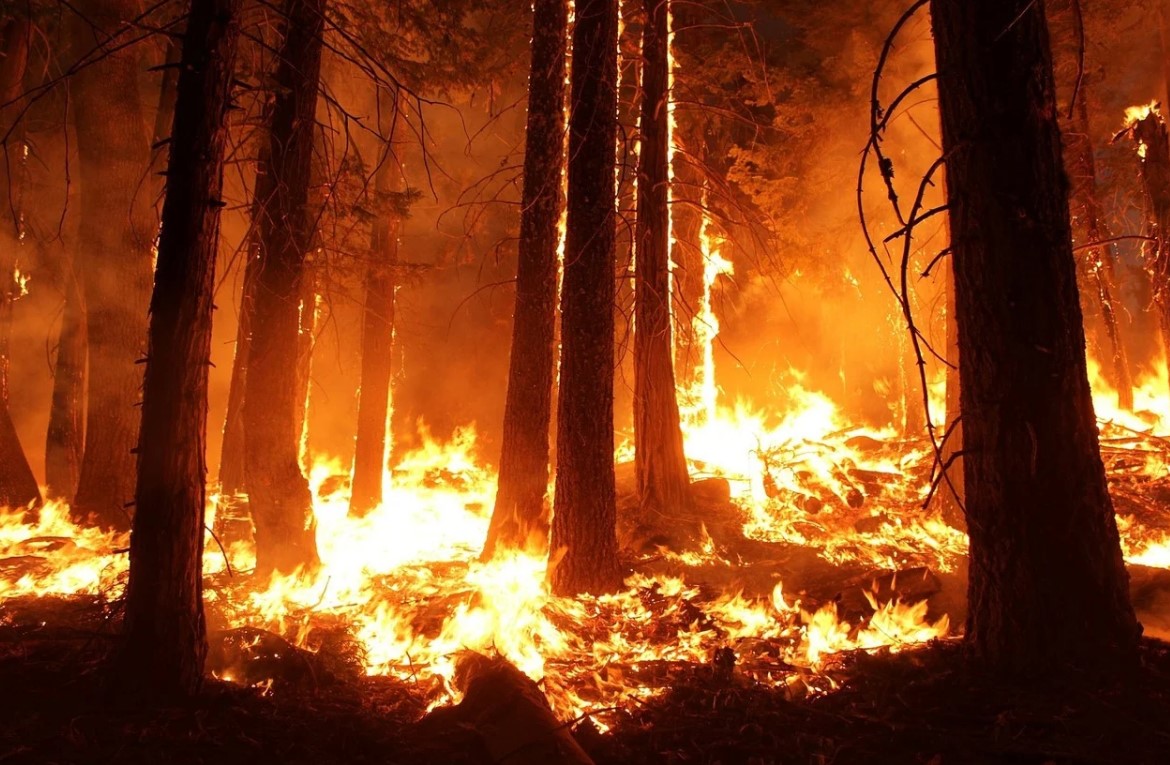 Якутия получит допфинансирование на борьбу с лесными пожарами