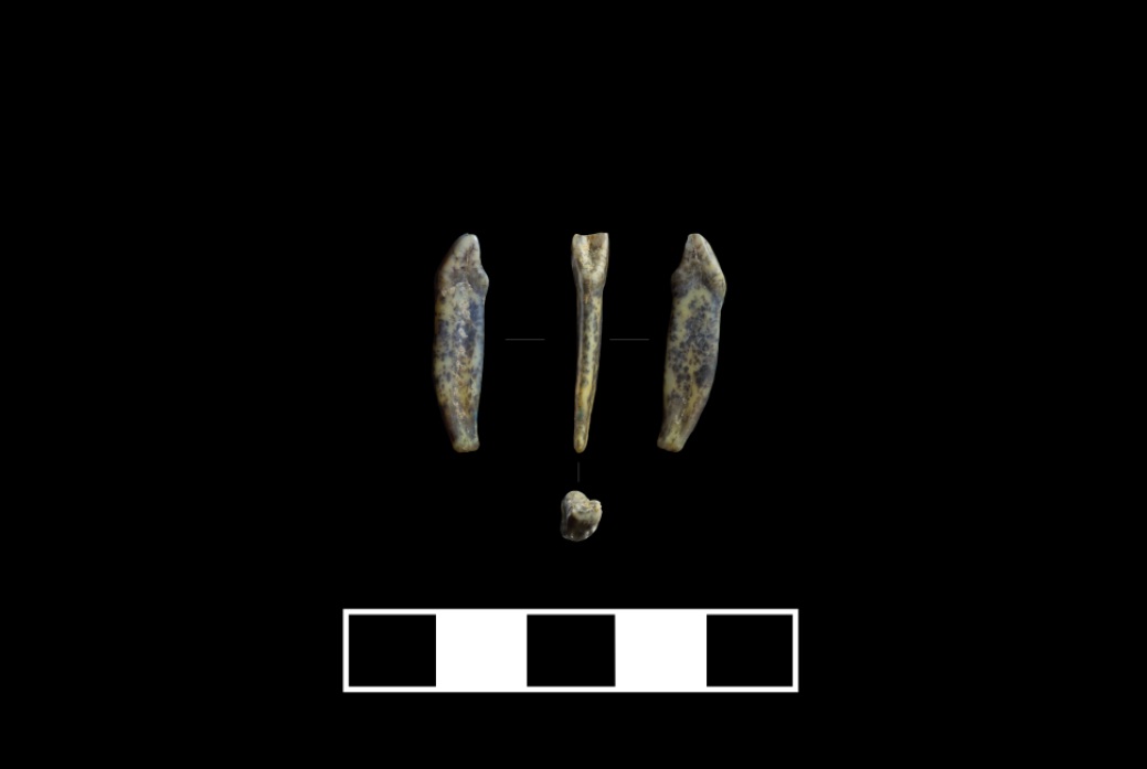 На Алтае найдены ценные археологические артефакты