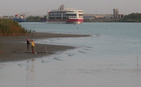 В Ростовской области возобновились туристические морские круизы