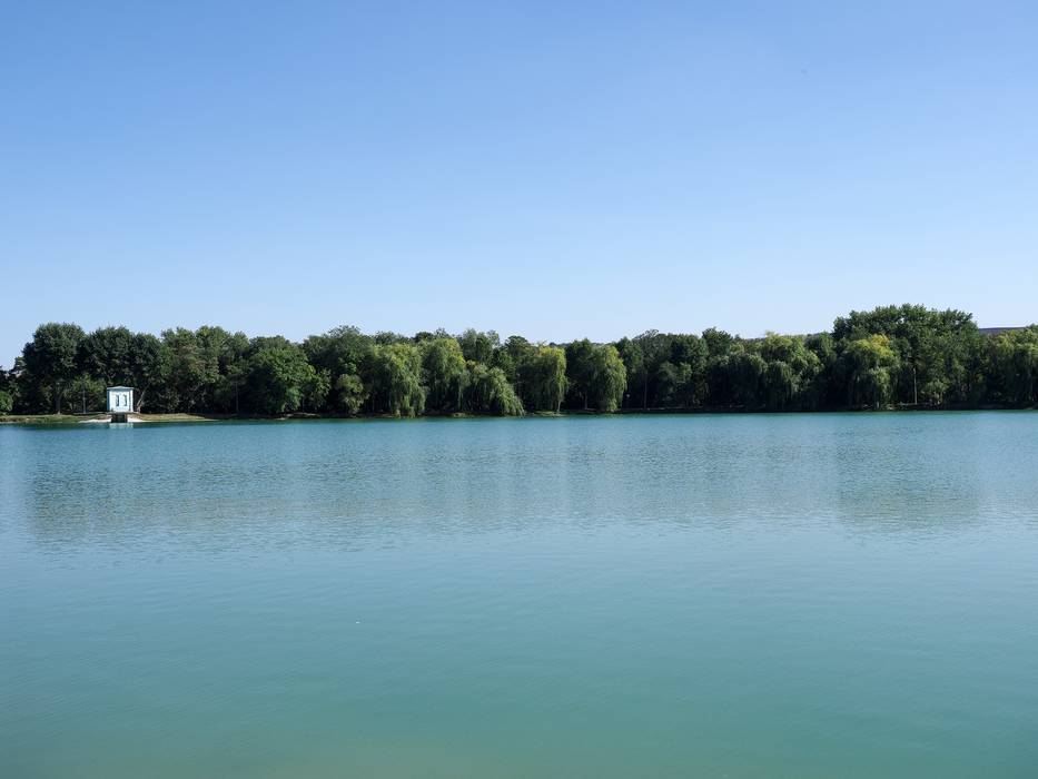 Городское озеро в Ессентуках станет курортной зоной