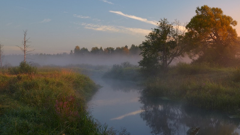 В Дубне откроется экомарафон «Реки России. Волга-2020»