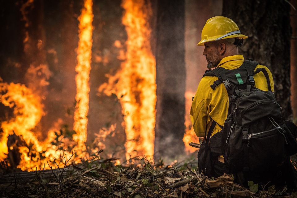 В 58 регионах России объявили о начале пожароопасного сезона