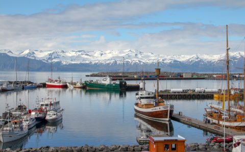 Подготовлен проект новой госпрограммы развития Арктики до 2024 года