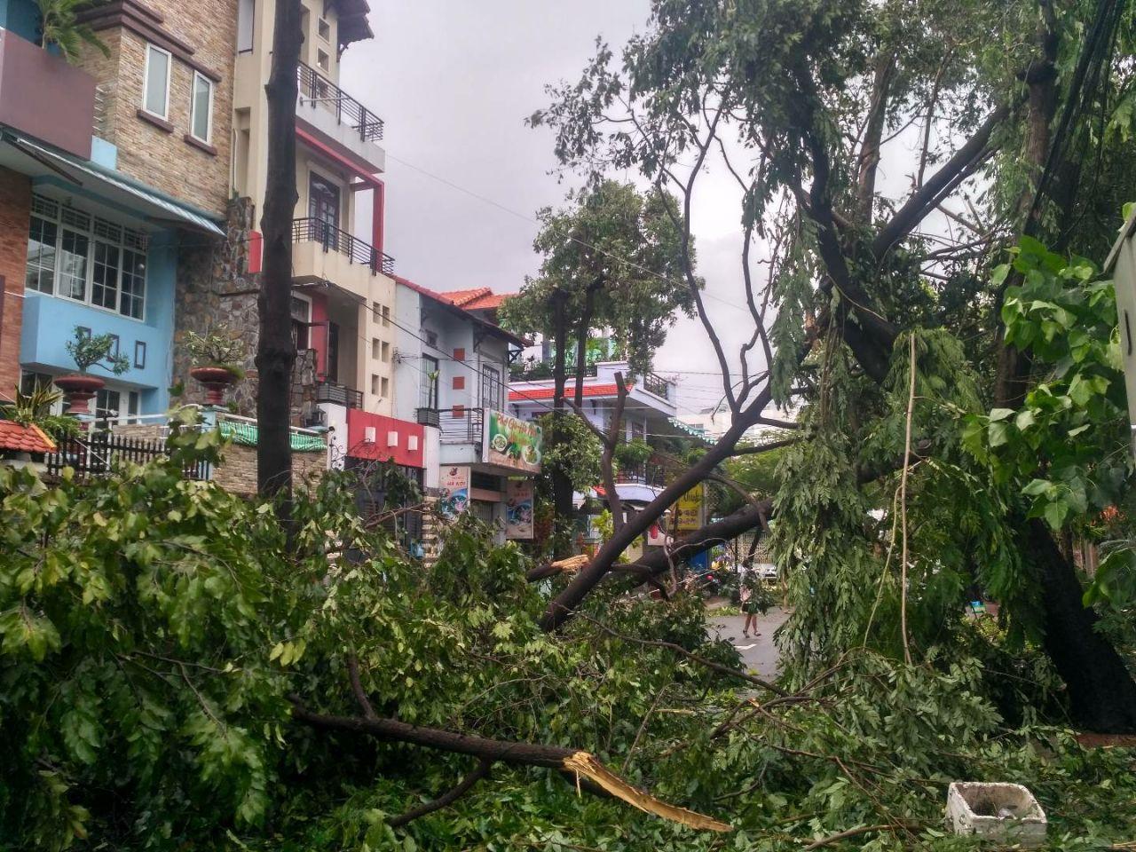 Тайфун «Ноул», COVID-19 и лихорадка Денге: туристов во Вьетнаме не ждут