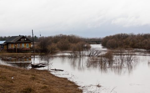 Уровень Амура у Комсомольска достиг 704 сантиметров