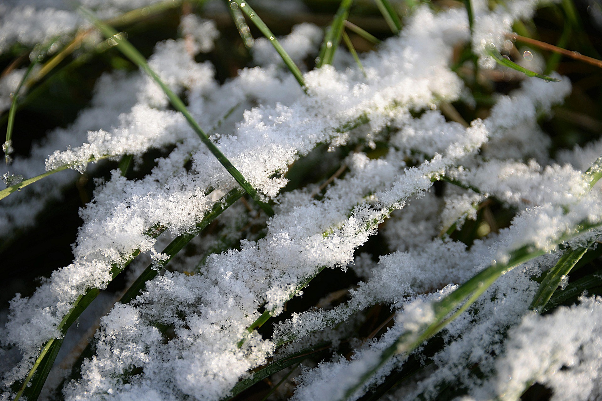 В Новосибирске пошел первый снег