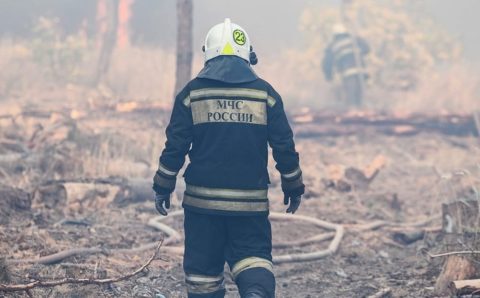В Воронежской области полыхают два природных пожара