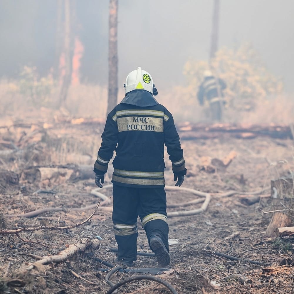 Лесной пожар в Рязанской области «сдает позиции»