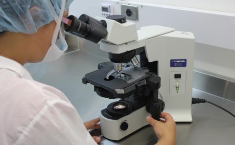 На Ставрополье откроют новые лаборатории для тестирования на коронавирус