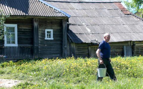 Госдума приняла закон по поддержке садоводов и огородников