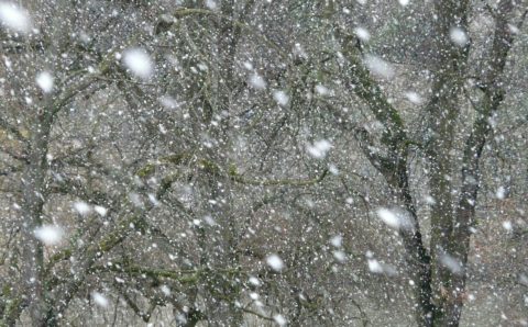МЧС предупреждает о плохой погоде в Саратовской области