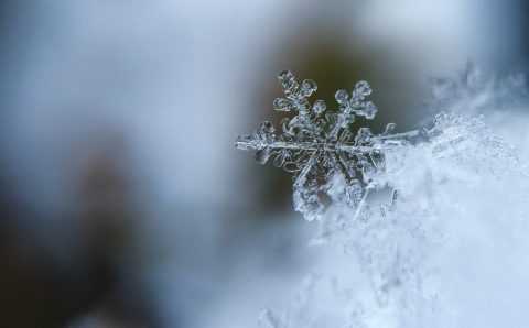 В Хабаровском крае выпал первый снег