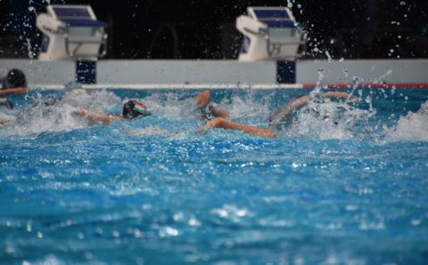 Чемпионат мира по плаванию в ластах покажут на Олимпийском канале