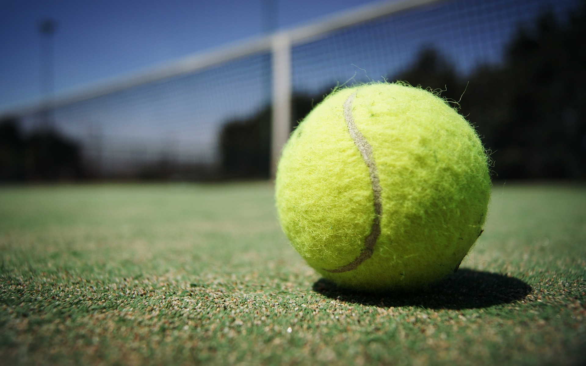 Теннисный турнир Australian Open пройдет с 8 по 21 февраля