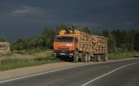 В Вологодской области за шесть лет объем заготовки древесины вырос на 29%