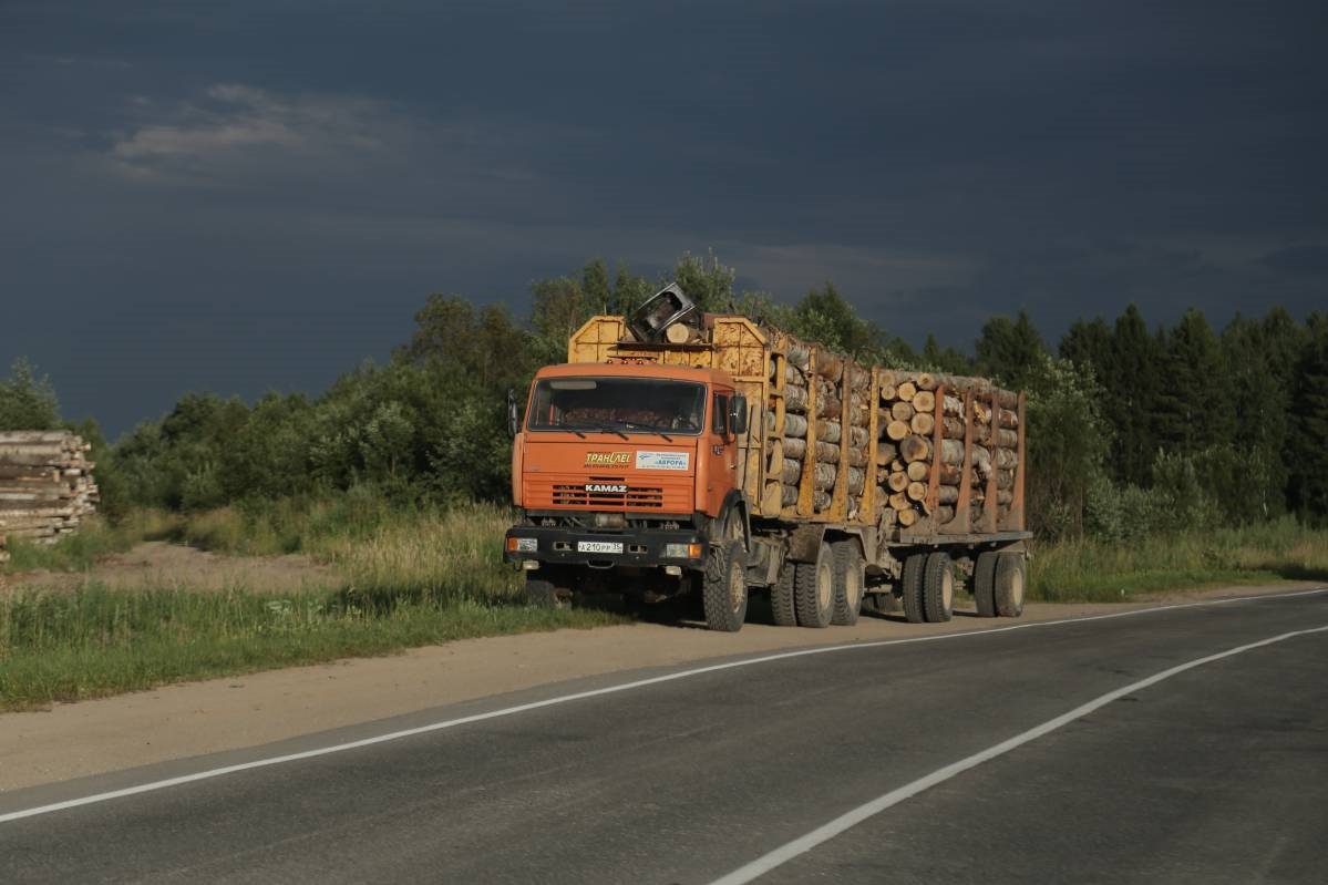 В Вологодской области за шесть лет объем заготовки древесины вырос на 29%